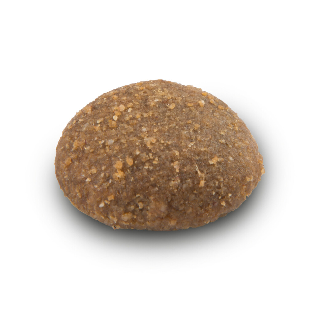 Maxi adult 12,5 kg