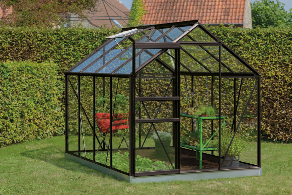 Serre Ivy 5,0 noir