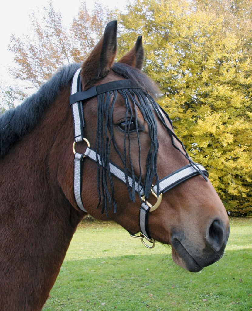Frange anti-mouches cheval