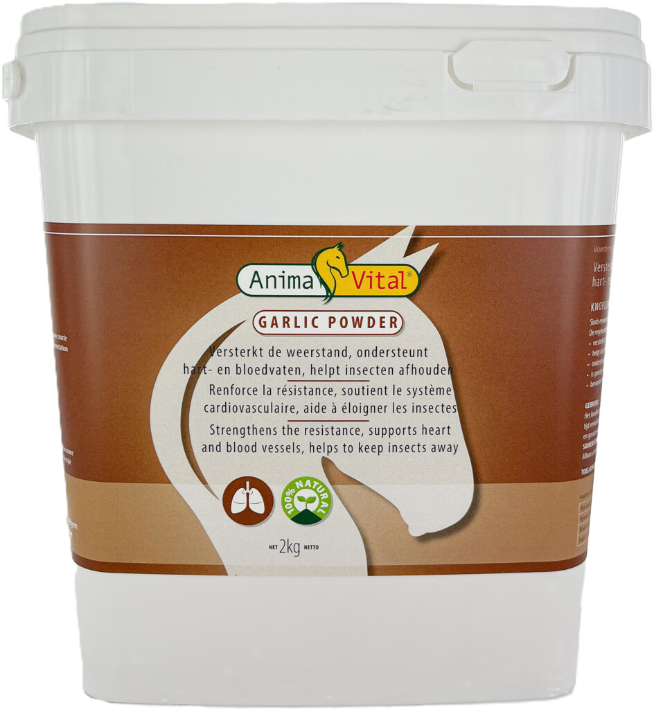Garlic powder 2kg