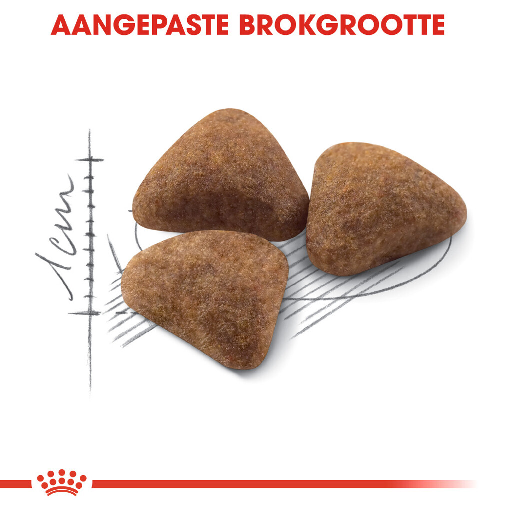 FHN Indoor 10kg