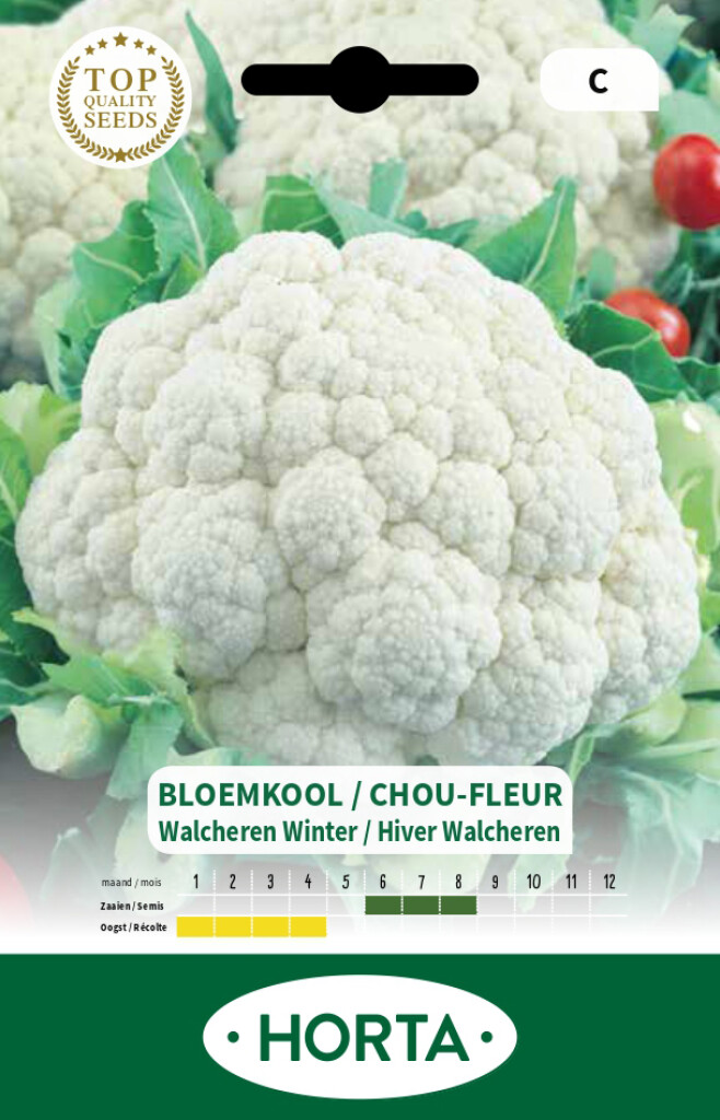 Bloemkool Walcheren Winter