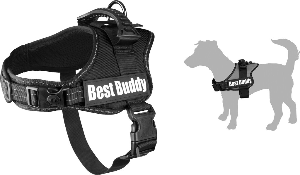 Harnais Best Buddy Pluto Noir XL  Harnais Best Buddy Pluto Noir XL