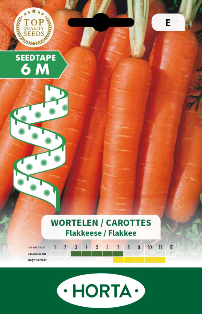 Carotte Flakkée en ruban 6m