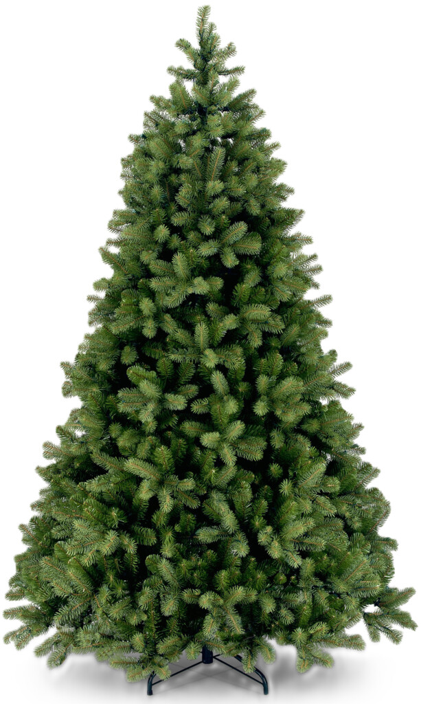 Douglas Green Spruce Hinged H:150cm