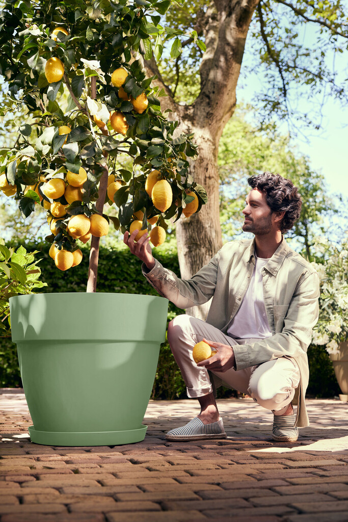 Vibia Campana Rond 47cm pistache groen