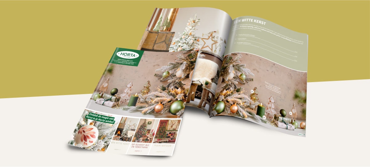 Folder spécial Noël