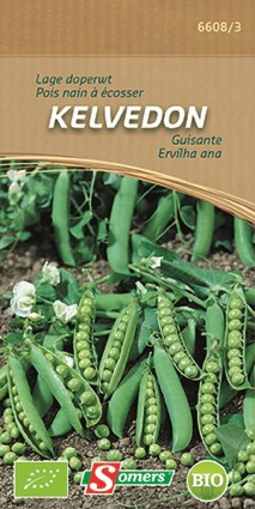 Be-Bio-02  Pois Nain à écosser Kelvedon 50g Be-Bio-02  Pois Nain à écosser Kelvedon 50g