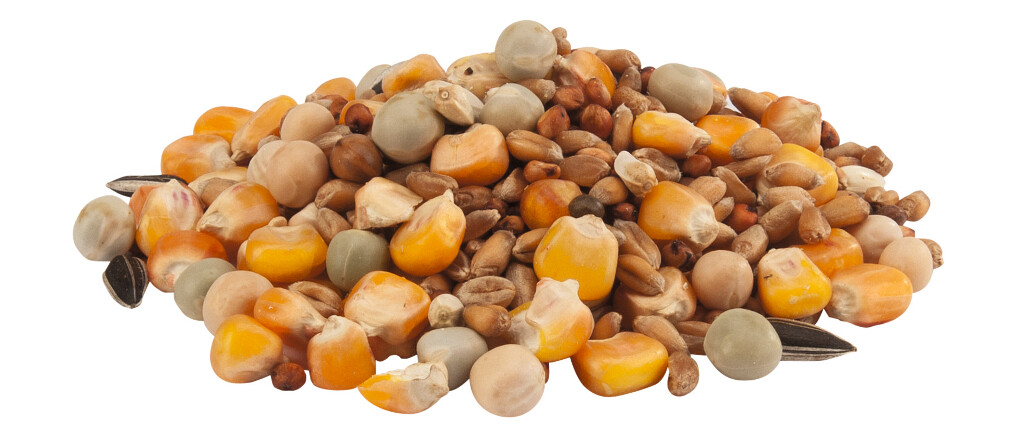 Gra-Mix Duif Kweek Eco 20kg