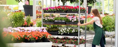 Employé du rayon Jardin - Horta Rillaar