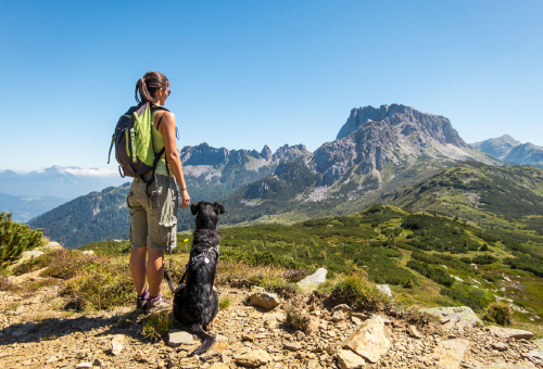 Op reis met je hond Op reis met je hond