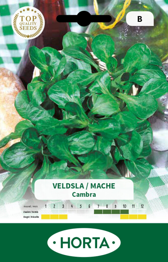 Veldsla Groene van Cambrai