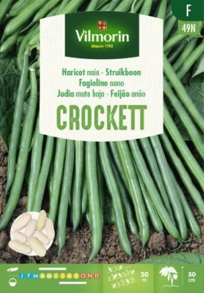 Haricot nain à filets sans fil Crockett 100g