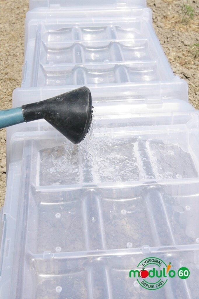 Kweektunnel Modul'o 60