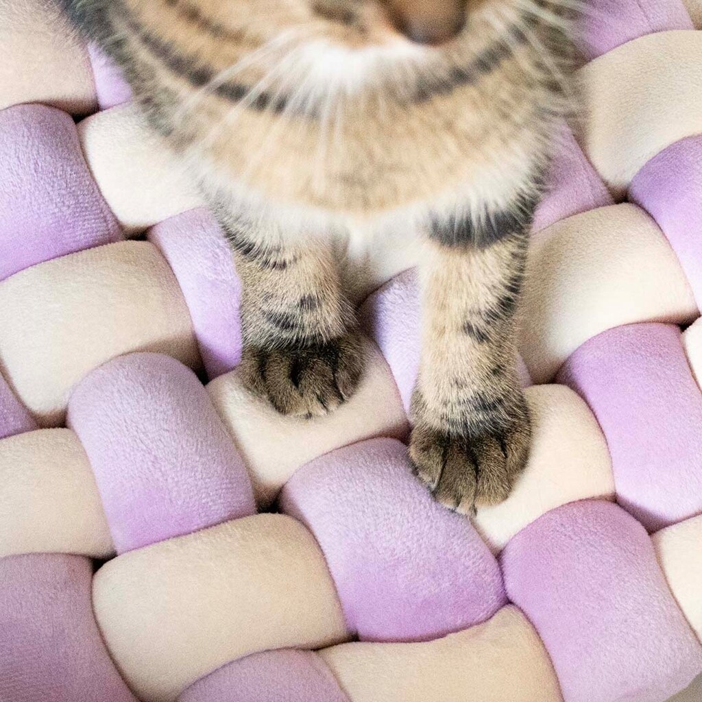 Velvet Vibe Kussen Lilac/Beige