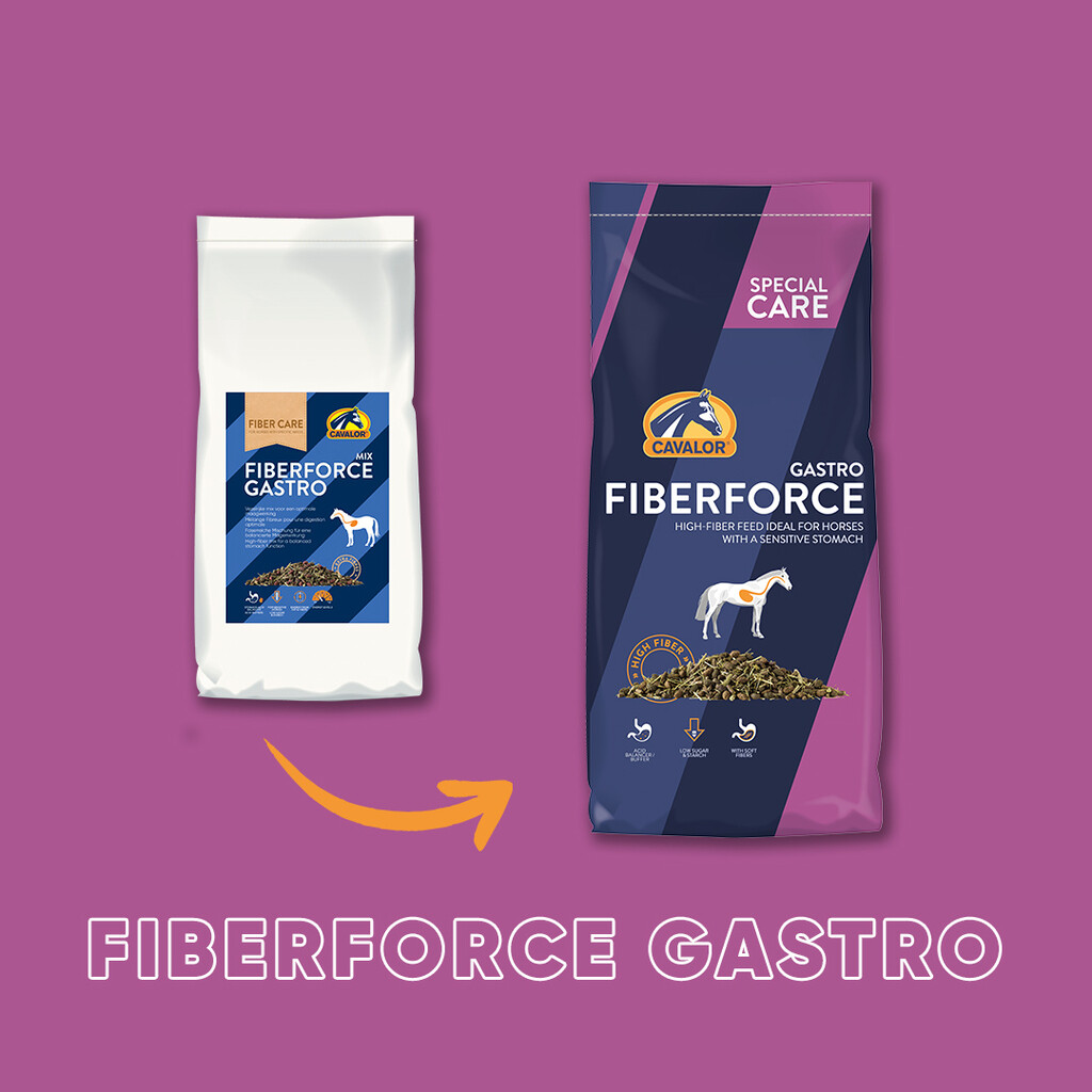 FiberForce Gastro 15kg
