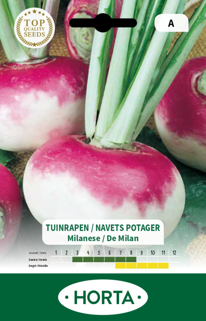 Tuinraap Milanese witte roodkop Tuinraap Milanese witte roodkop