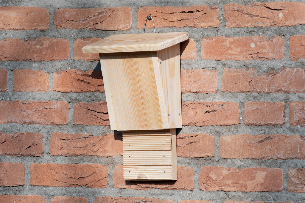 Nichoir pour chauves-souris pour enfants, kit de construction Igor