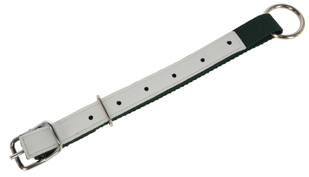 Halsband voor schapen, nylon groen