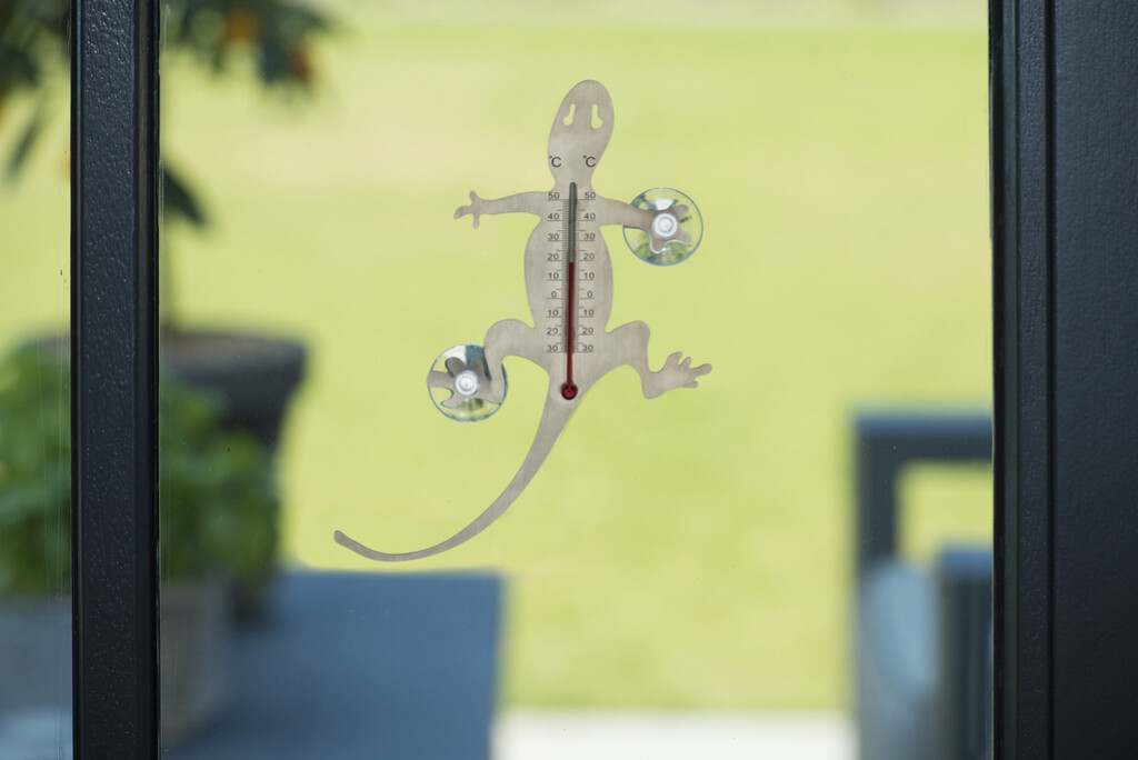 Thermometer salamander rvs