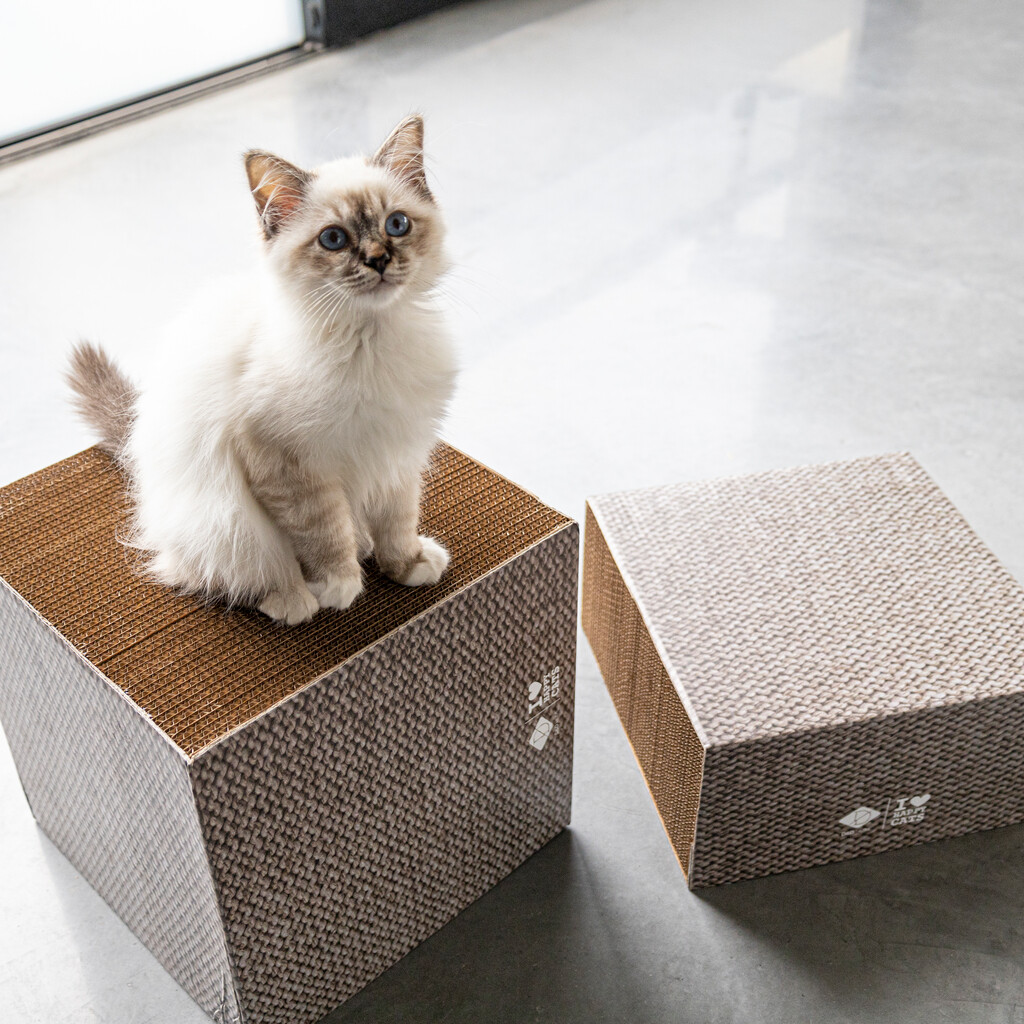 FREYA Cardboard scratcher block S FREYA Cardboard scratcher block S