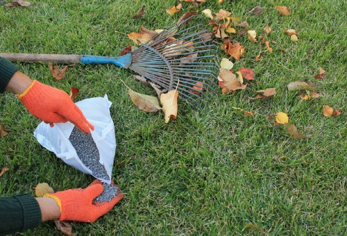 Tuin per maand - februari Tuin per maand - februari