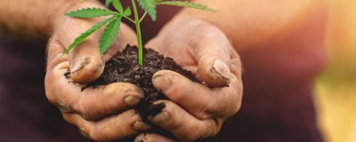 Potgrond voor moestuin