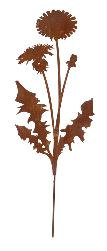 Piquet de jardin rouillé pissenlit