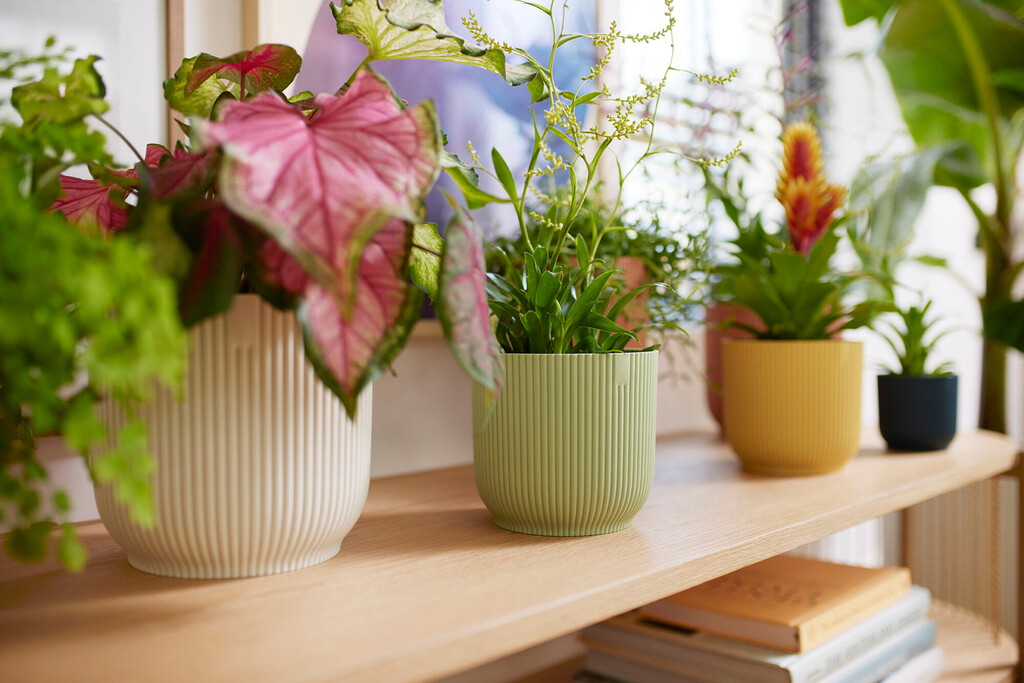 Bloempot Vibes Fold Rond 14cm sorbet groen