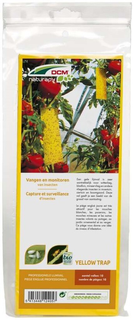 Yellow-Trap 10 stuks