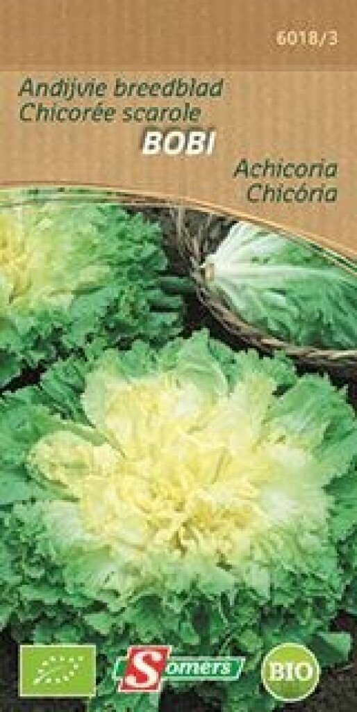 Be-Bio-02 Chicoree Scarole Bobi