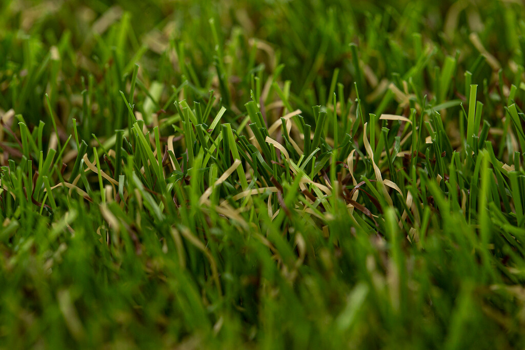 Forestland 4mx20m en rouleau/mc