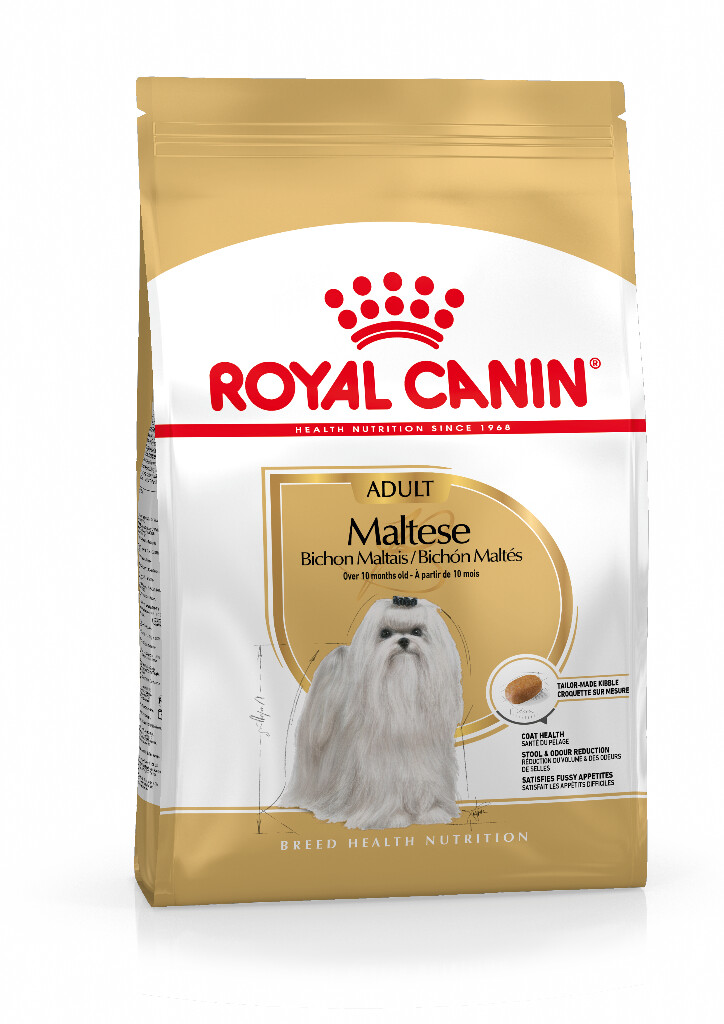 BHN Maltese 1,5kg
