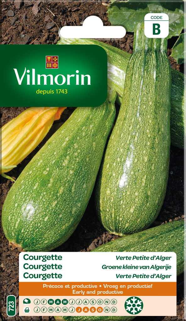 Courgette Groene Kleine Van Algerije