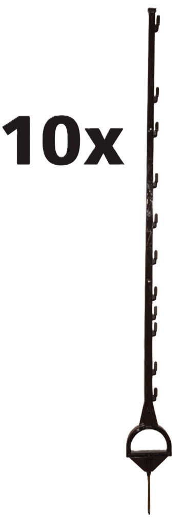 Duopack stijgbeugelpaal 1,55m Terra (2x5)