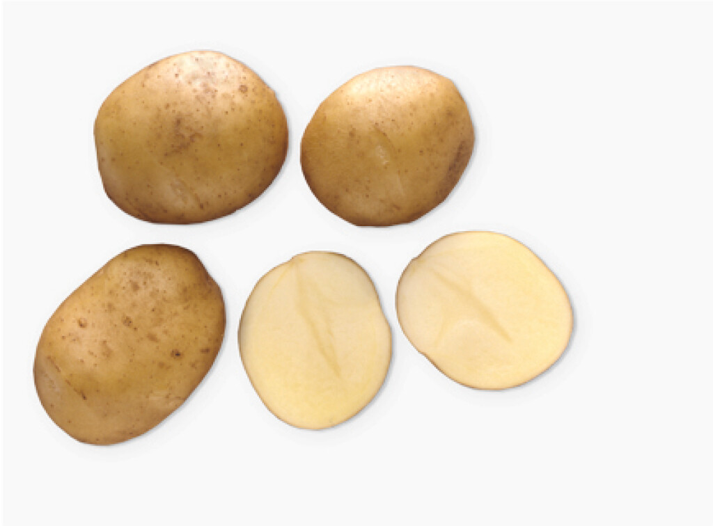 Frieslander 1,5 kg