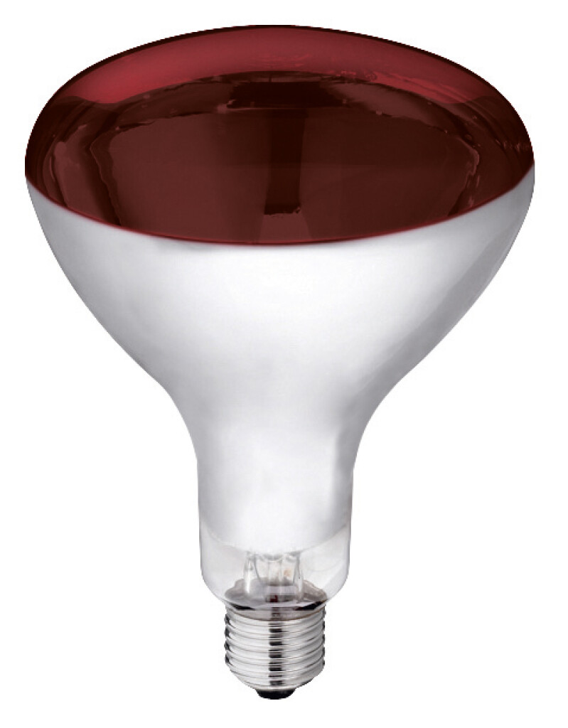 IR-lamp 150W gehard glas, rood IR-lamp 250W gehard glas, rood