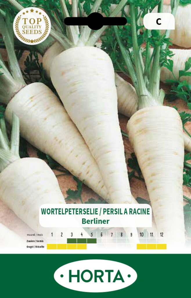 Wortelpeterselie Berliner
