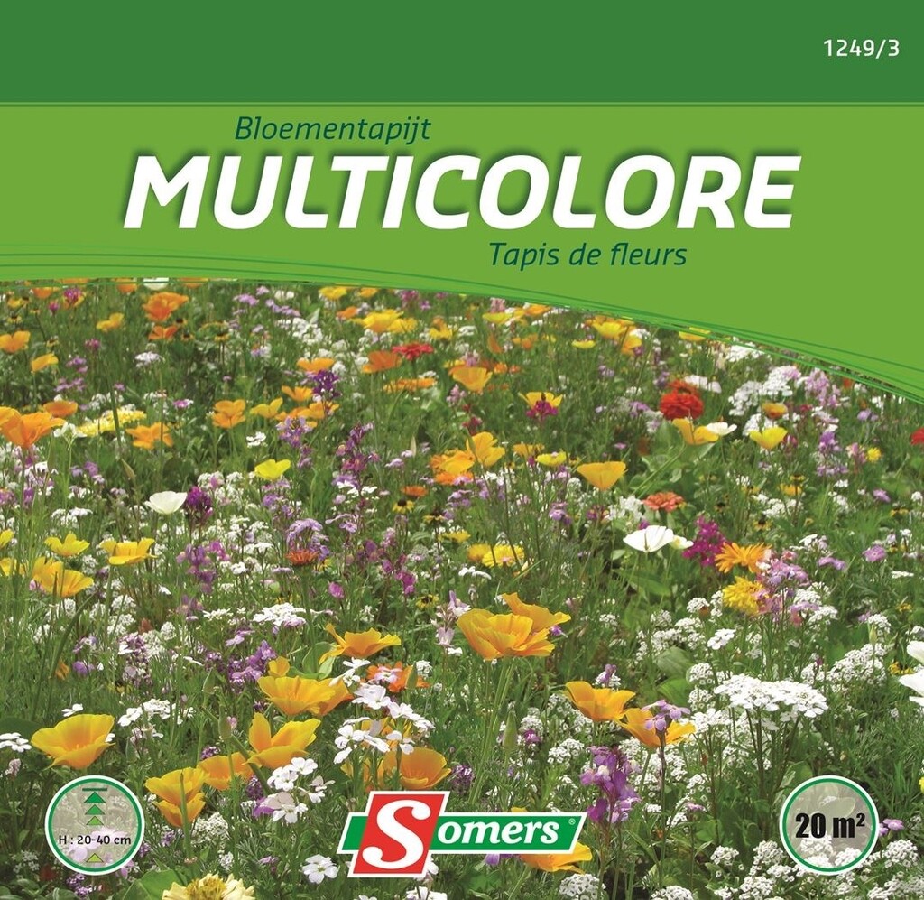 Tapis de fleurs multicolore