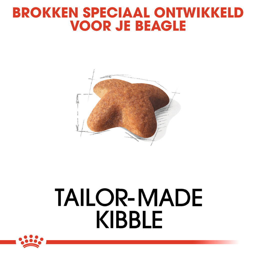 BHN Beagle 12kg