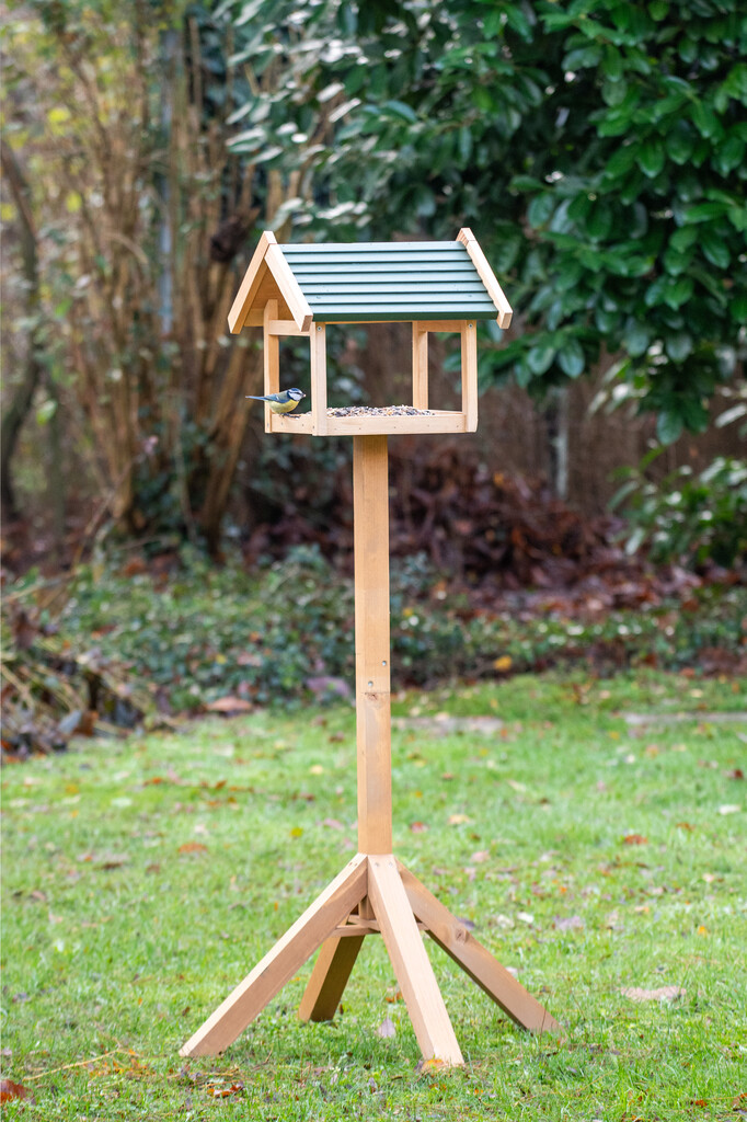 Shaw voederhuis op paal