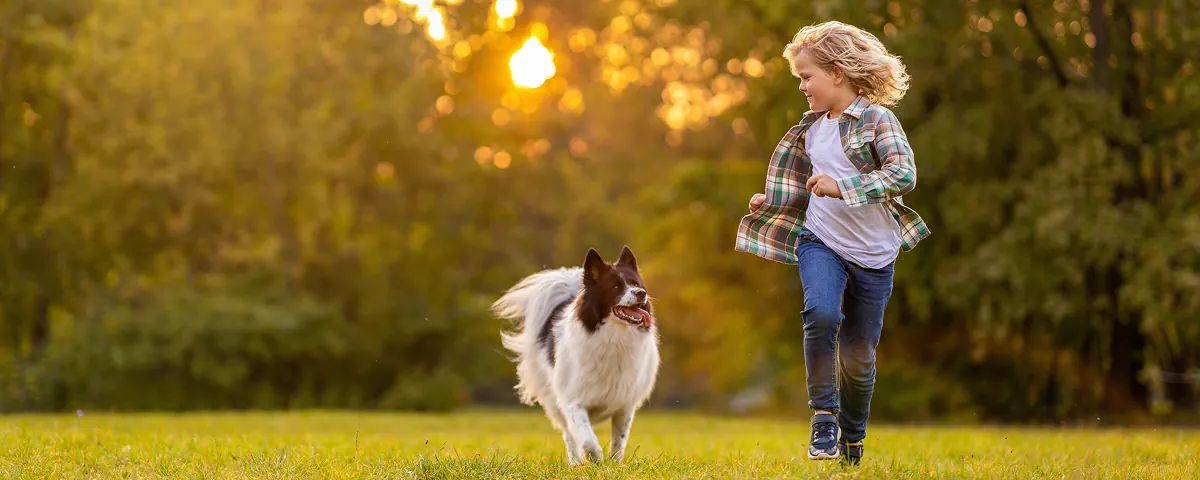 Connaissez-vous bien votre chien ?