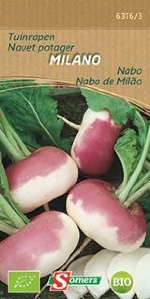 Be-Bio-02 Navet Potager Milano