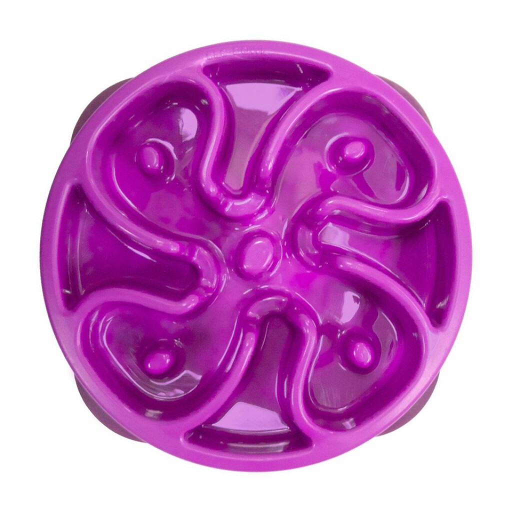 Fun Feeder Mini Flower turquoise Fun Feeder Mini Flower turquoise