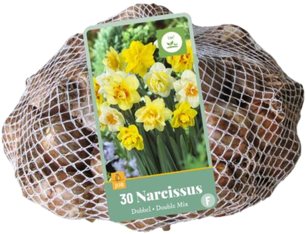 X 30 Narcissus Dubbel Mix 10/12