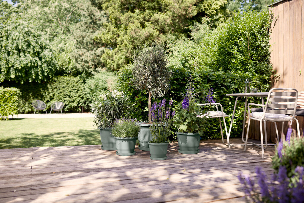 Loft Urban Soucoupe Ronde 17cm vert thym