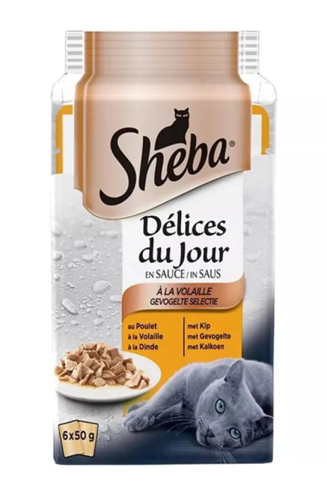 Délices du jour volaille 6x50g