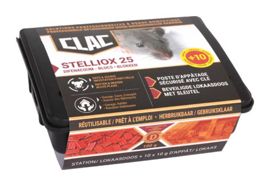 STELLIOX 25 + LOKAASDOOS RATTEN