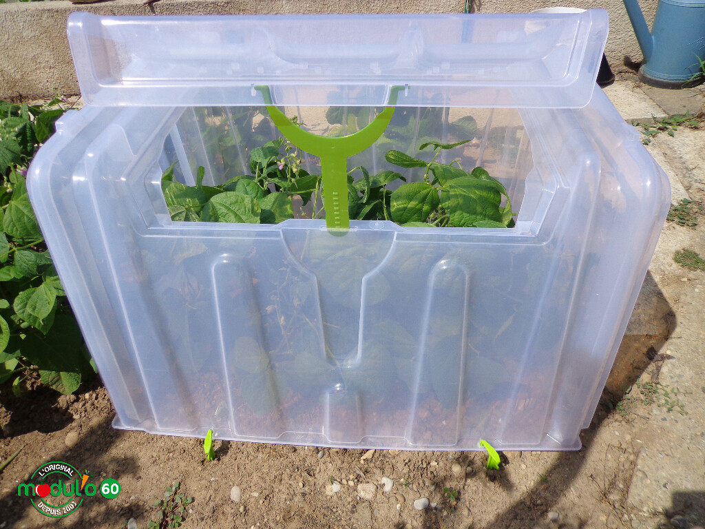 Kweektunnel Modul'o 60