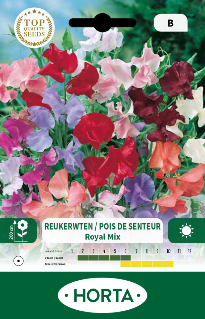 Lathyrus (reukerwt) Royal gemengd